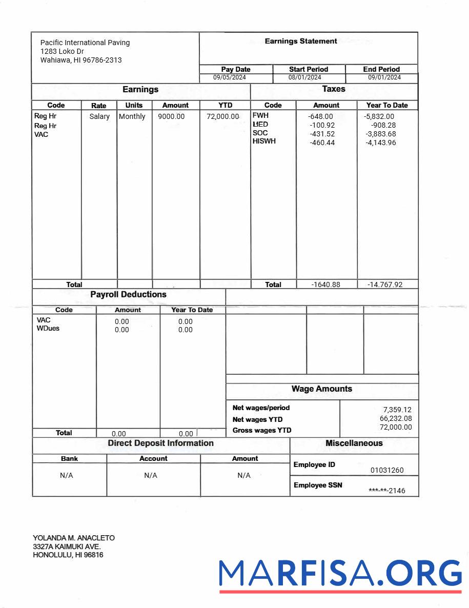 Printable Pacific International Paving earnings statement example
